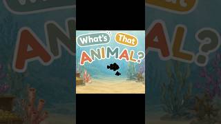 Learn Ocean Animals in English | Toddler vocabulary #toddlerlearning #animation #englishlearning