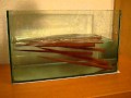 鉄木の箸は水に沈みます