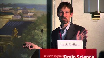 A Big Data Approach to Functional Characterization of The Mammalian Brain