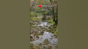 سورة المسد بصوت يُلامس القلوب – تلاوة خاشعة للشيخ ماهر المعيقلي 🔥📖