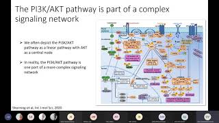 PI3K/Akt Pathway Inhibition for the Treatment of Metastatic Castrate-Resistant Prostate Cancer