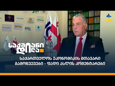 საქართველოს ეკონომიკის მთავარი გამოწვევები - ფადი ასლის კომენტარები