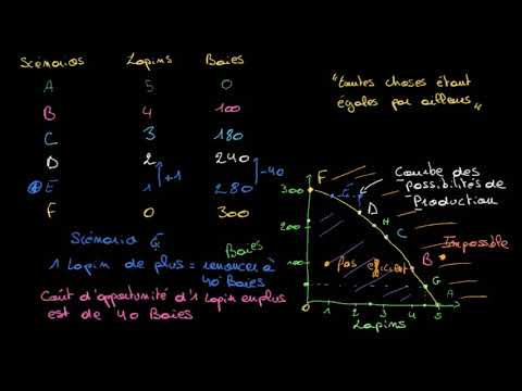 Vidéo: Comment Calculer Le Coût D'opportunité