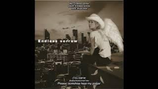 Ayumi Hamasaki - Endless sorrow (jpn/rom/eng subbed)