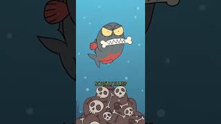 Did you that this fish is not dangerous but rather friendly...