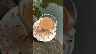 Chai shorts ytshorts viral ytindia trending chailover food