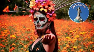 MEXICO Dia de Muertos