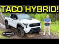 2024 Toyota Tacoma: Reinventing the mid size truck King!