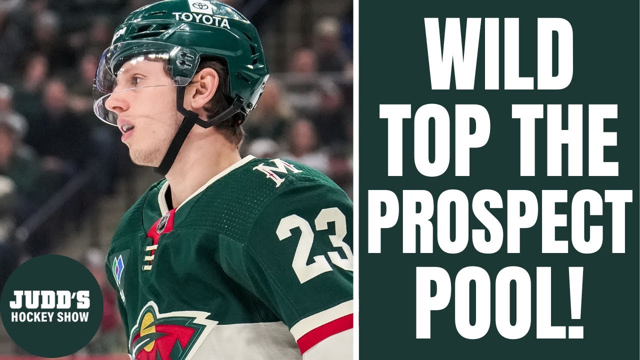 Minnesota Wild have the BEST prospect pool in the NHL YouTube