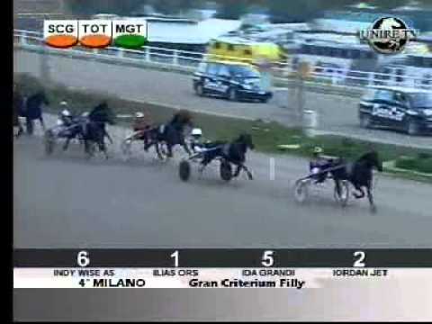 Gran Criterium Filly 2006 -Ilias Ors