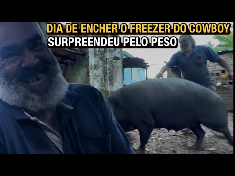 Dia de festa no Rancho do cowboy!