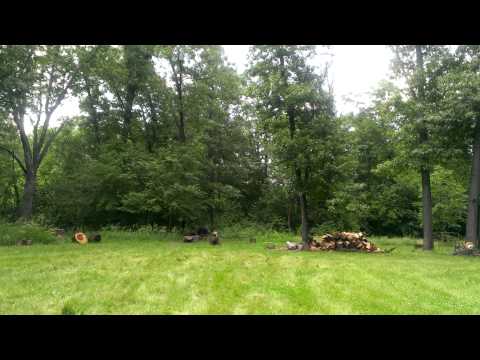 .22 sensitive H2 1/2 lb with logs on top