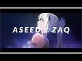 【AMV】ASEED