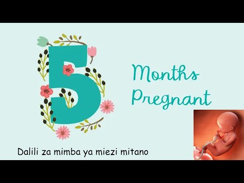 Dalili za mimba