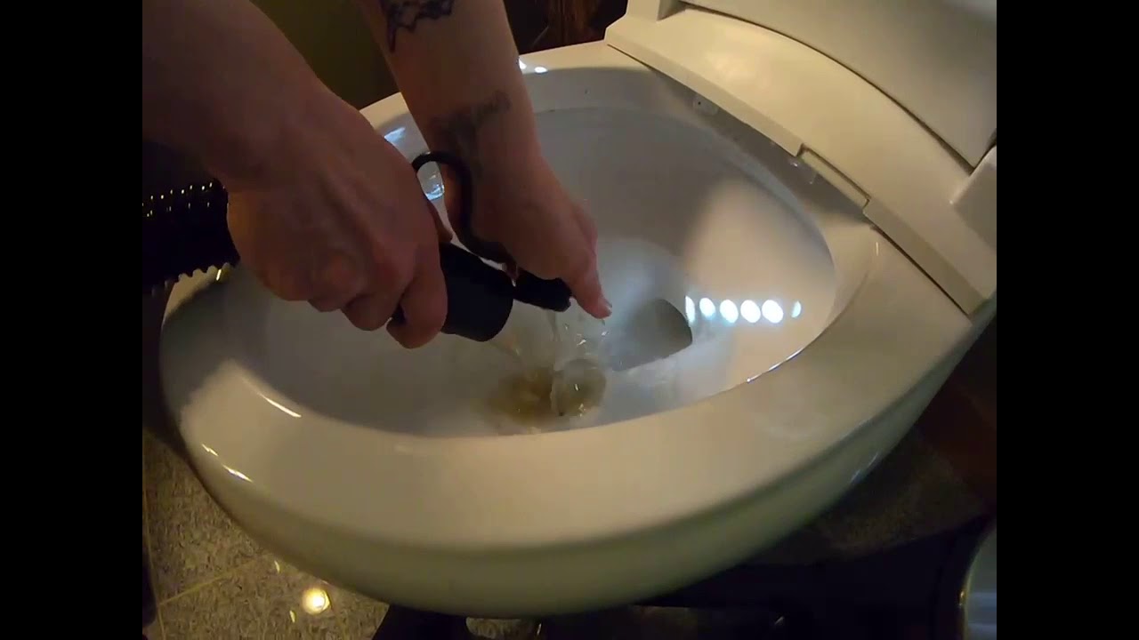 Professional Carpet Cleaning Hot Water Extraction YouTube