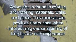 Environmental Health AP Environmental Final Project
