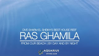 Red Sea Shore Dive - The Best House Reef In Sharm El Sheikh, Red Sea, Egypt - Ras Ghamila