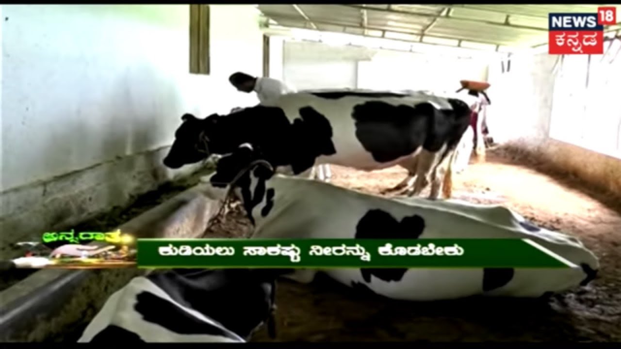 ಅನ್ನದಾತ | Dairy Farming Success Story | May 7, 2018