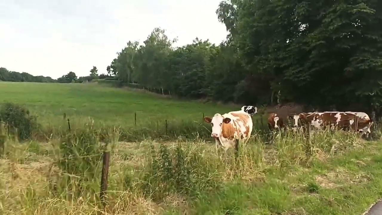 Luxembourg - Leudelange - Part 1