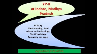 YP-II for MSc Agronomy/Pl Breeding/ Crop Physiology and SeedScience At Indore