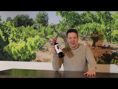 Vitis Vin I About Wine I Domaine de la Dourbie: Love always wins Vitis Vin I About Wine I Domaine de la Dourbie: Love always wins