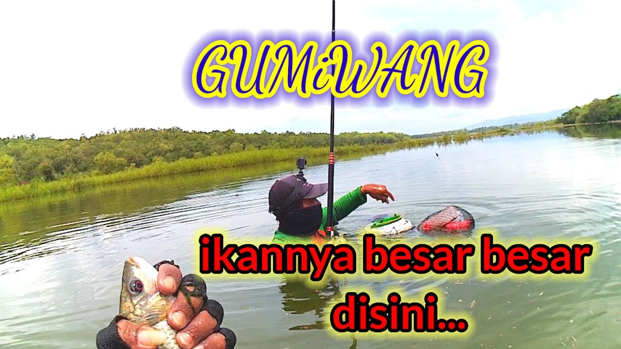 SPOT BABON ,bagi yg bernyali besar..IWAK tok!!