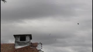 Suara panggil burung walet sulawesi