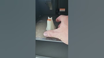 Spooky Tiny Ghost 👻 Cat 🐈 #3dprinting #bambulabs #blackcat #holloween #ghost