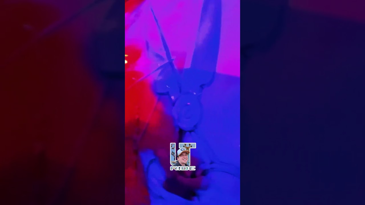 Manège One Man Show 2 - Foire Saint-Romain, Rouen 2025 | On ride (part 11) 