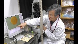 Lab Tour “Microinjection of mRNAs into starfish eggs to study hormone signaling pathway”
