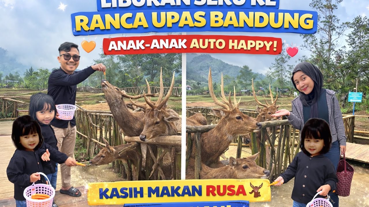 LIBURAN SERU KE RANCA UPAS BANDUNG, PENANGKARAN RUSA, WISATA CIWIDEY BANDUNG