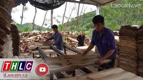 Ngành chế biến lâm sản gặp khó khăn về tiêu thụ | THLC