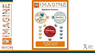 Gut-Brain Connection and Emerging Therapies for IBD: IMAGINE Network Studies