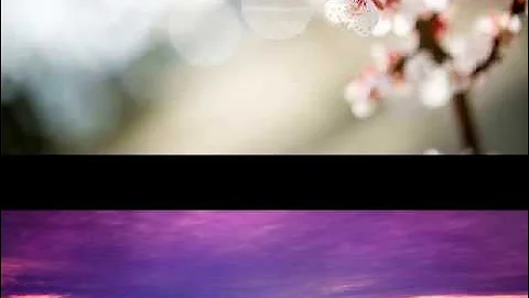 beautiful nature video 49