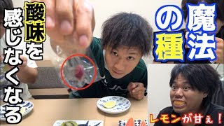 レモンが甘くなる！？魔法の種ミラクルフルーツ！