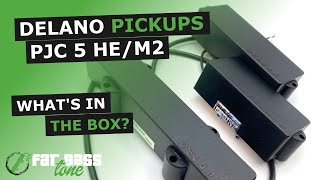 Delano Pjc 5 Hem2-As 5 String Pj Set Whats In The Box A Close-Up Look