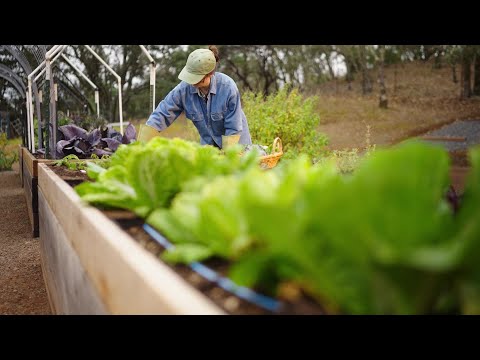The ultimate compost companion Mill Food Recycler