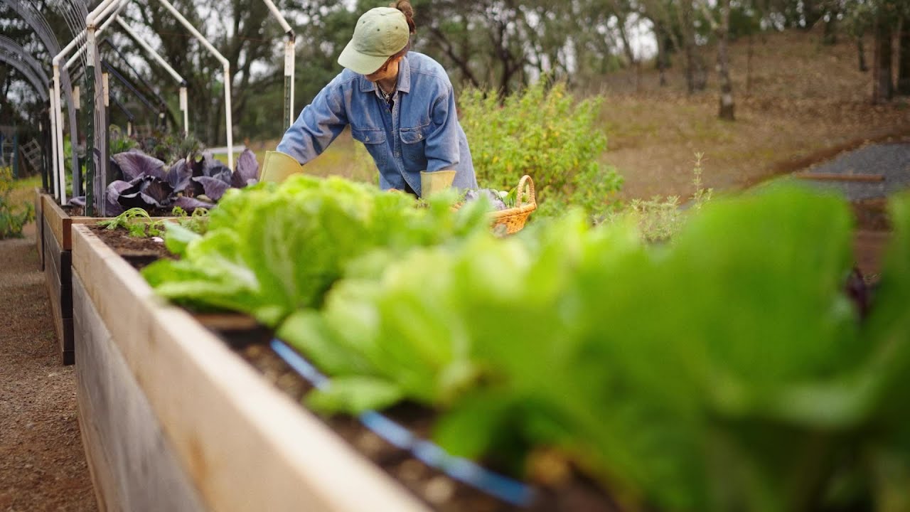 The ultimate compost companion | Mill Food Recycler - YouTube