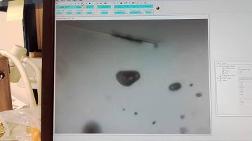 Melting temperature of H2O-CO2 inclusion