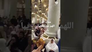 #مسجد رسول الله قبل فتح باب الروضه الشريفه للنساء