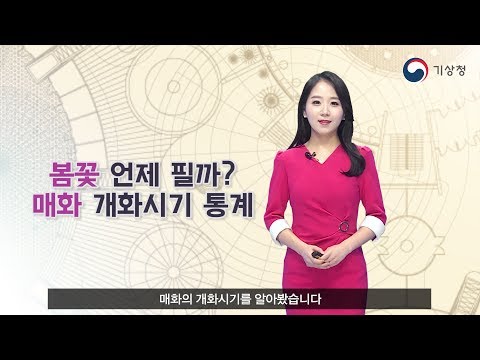 3월축제