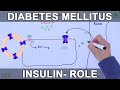 Diabetes Mellitus