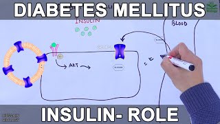 Diabetes Mellitus