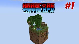 Minecraft Skyblock, but it's HARDCORE (with a twist) #1