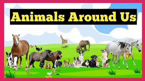 Animals Around Us | Different Types of Animals | ICSE | CBSE | Grade 1 |