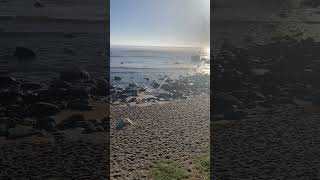 銚子✨犬吠埼の海岸にて✨