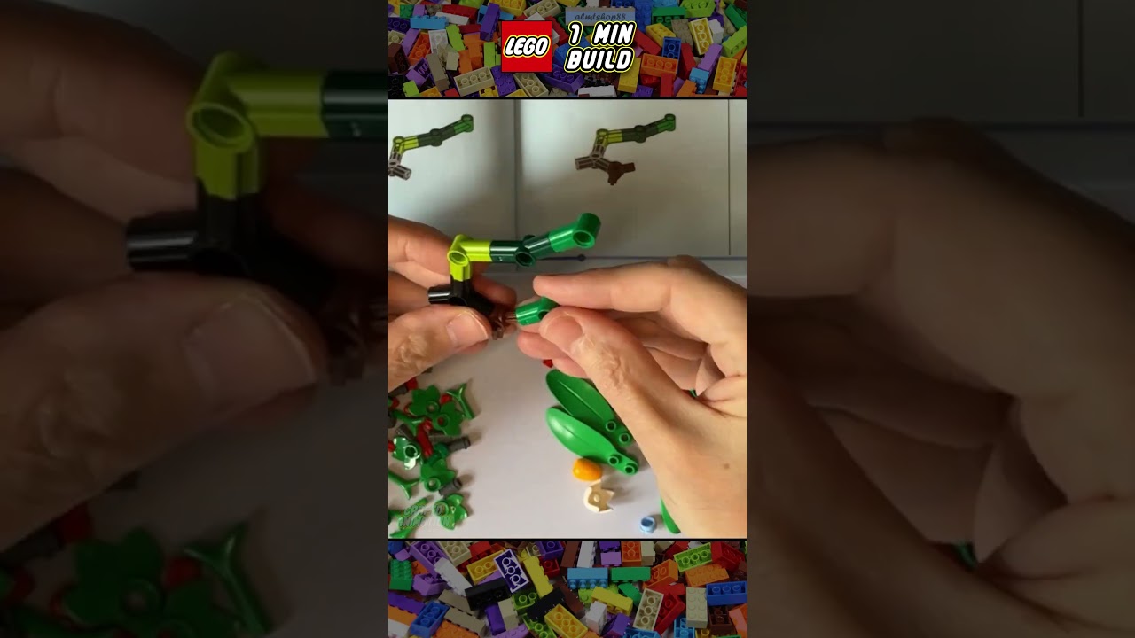 Building The Limited Edition Flower Trellis Display 