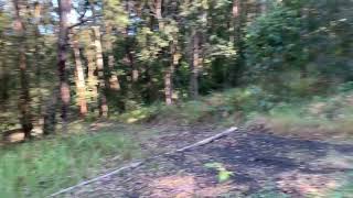 The 2080 Rule Work For 20Min Then Play Sax For 80Min