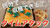 にんじん収穫が上達しすぎてドヤる犬の姿がこちらですwww Youtube にんじん収穫が上達しすぎてドヤる犬の姿がこちらですwww Youtube