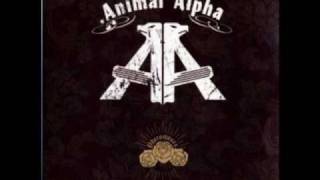 Watch Animal Alpha Most Wanted Cowboy video